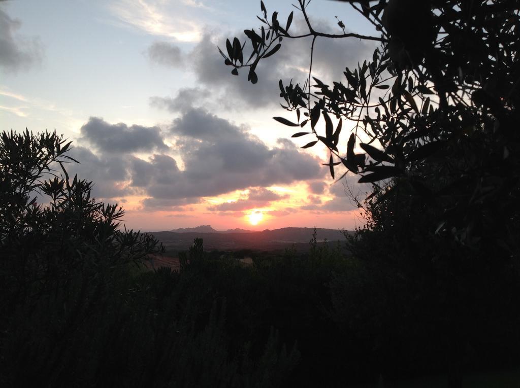 Villa Kuky Santa Teresa Gallura Kültér fotó